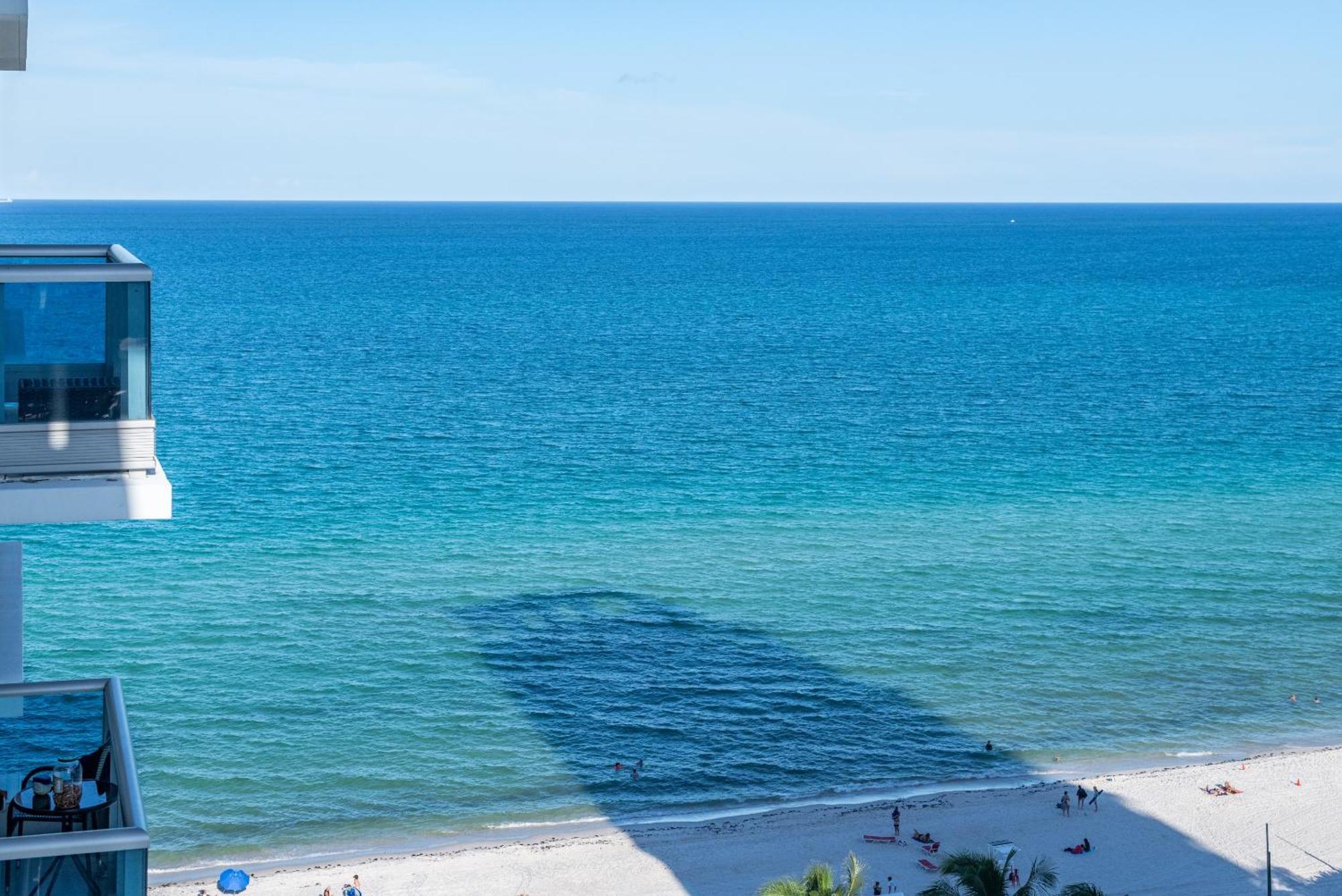 Bluebird Suites Monte Carlo Miami Beach Ruang foto